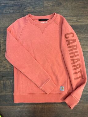 Carhartt Midweight Crewneck Block Logo Sleeve Graphic Sweatshirt XS Like New